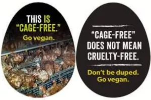 Vegan sticker #374
