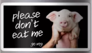 Vegan sticker #228