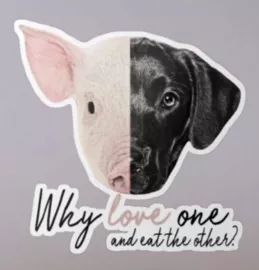 Vegan sticker #166