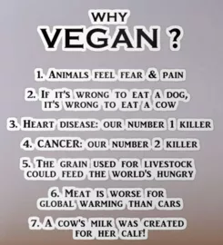 Vegan sticker #169