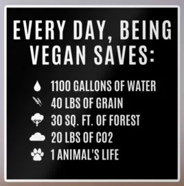 Vegan sticker #191