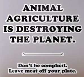 Vegan sticker #192