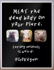 Vegan sticker #211