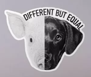 Vegan sticker #224